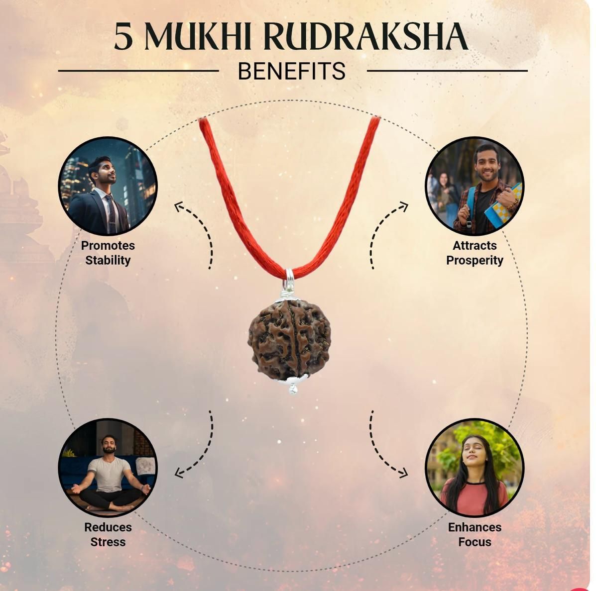 5 Mukhi Rudraksha With Bracelet