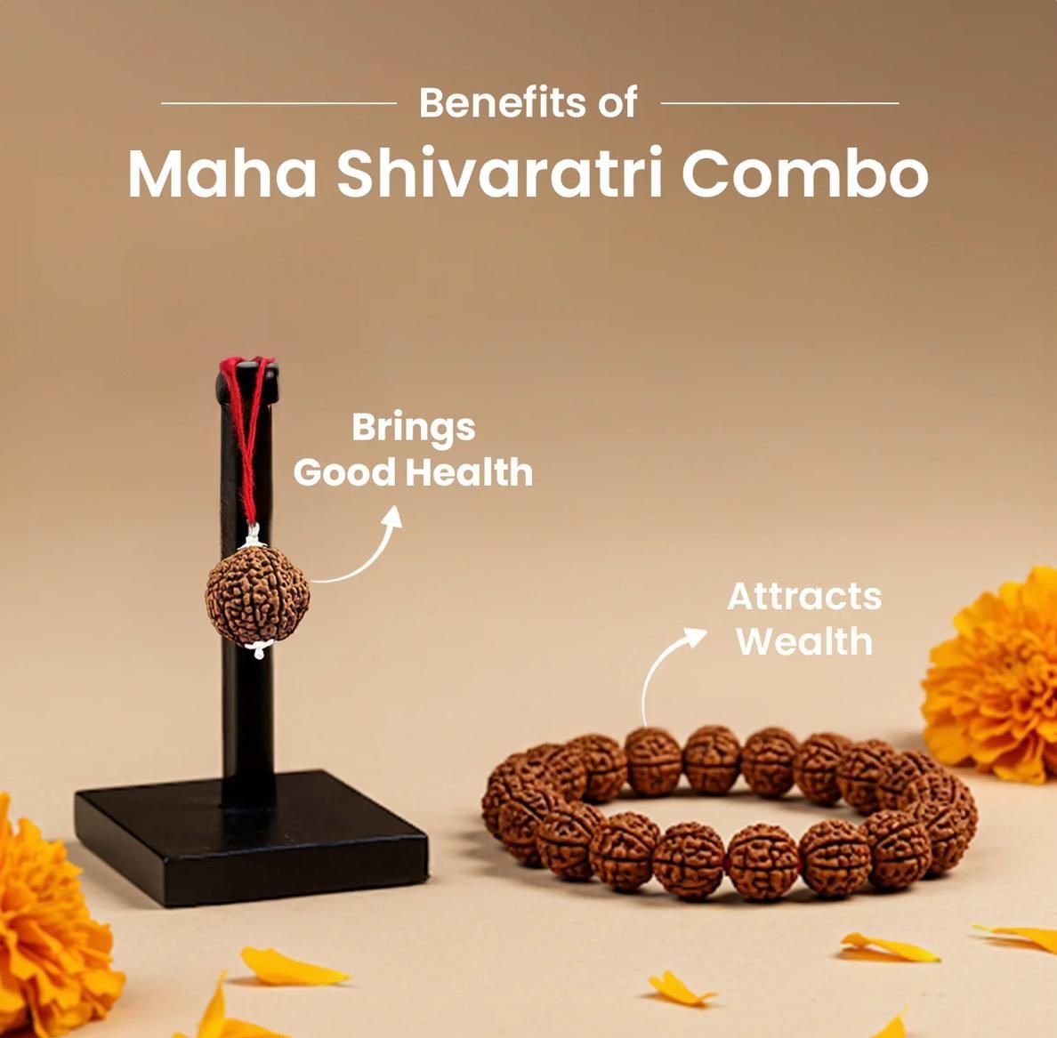 5 Mukhi Rudraksha With Bracelet
