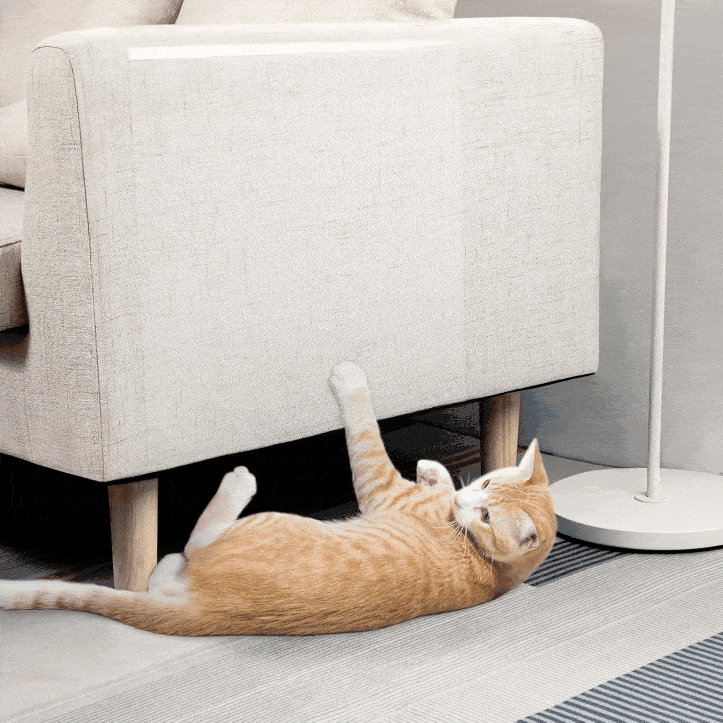 Self-Adhesive Transparent Wall Protection Film 🔴Buy 1, Get 1 Free