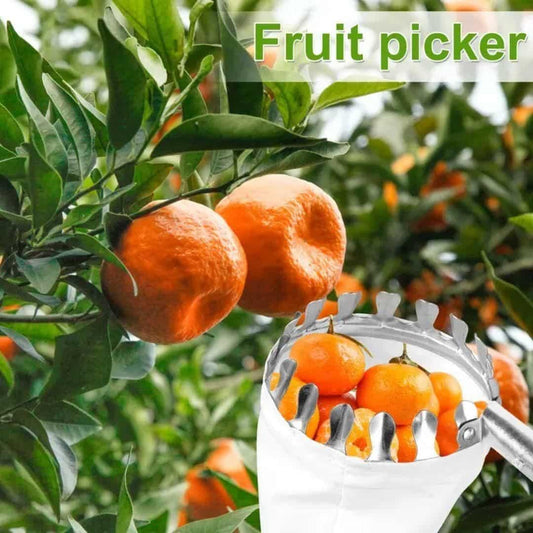 Fruit Picking Bag