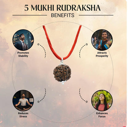 5 Mukhi Rudraksha With Bracelet